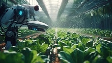 Sensori per l'agricoltura, quando la tecnologia aiuta la natura
