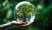 Efficacité énergétique dans les entreprises : comment économiser de l'argent et devenir plus vert ?