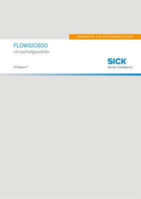 FLOWSIC600 FLOWgate™ Ultraschallgaszähler
