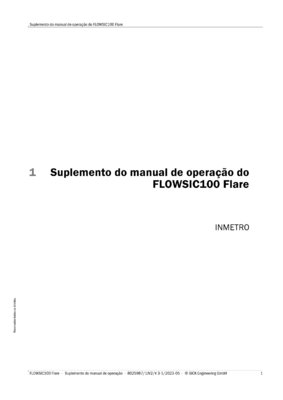 FLOWSIC100 Flare / FLOWSIC100 Flare-XT - INMETRO